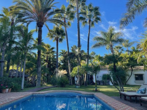 Villa in a palm tree plantation